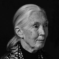 Jane Goodall, 2017