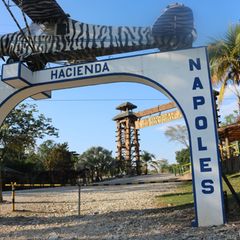 Die "Hacienda Nápoles" war das Luxusanwesen von Drogenboss Pablo Escobar. (Archivbild) Foto: Sinikka Tarvainen/dpa