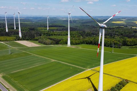 2024 sind mehr Windenergieanlagen in Rheinland-Pfalz genehmigt worden. (Archivbild) Foto: Arne Dedert/dpa