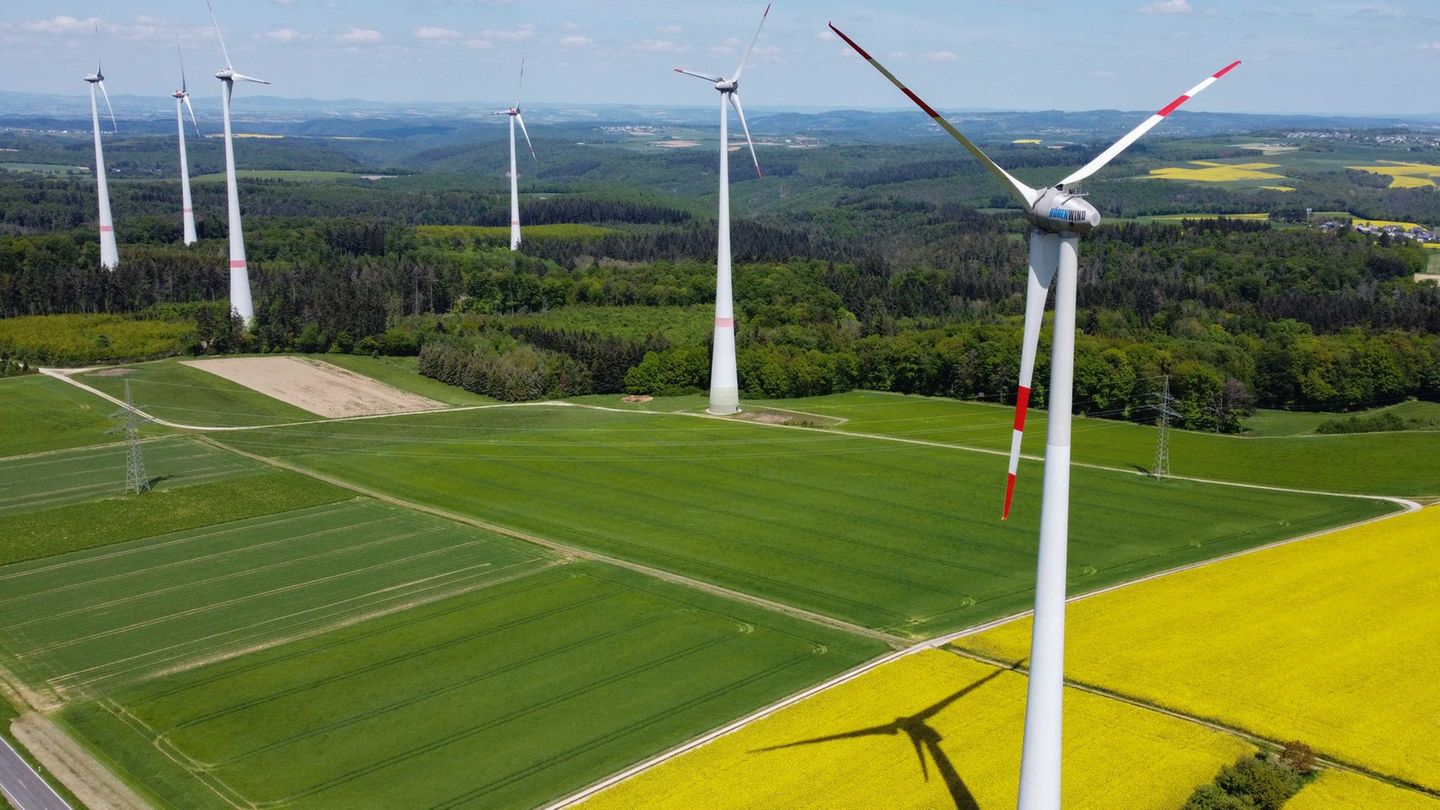 2024 sind mehr Windenergieanlagen in Rheinland-Pfalz genehmigt worden. (Archivbild) Foto: Arne Dedert/dpa