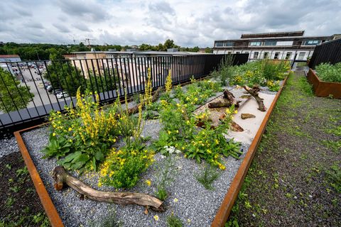 Klimaschutz ist auch Sache der Kommunen - doch dafür ist Geld notwendig. (Archivbild) Foto: Armin Weigel/dpa/dpa-tmn