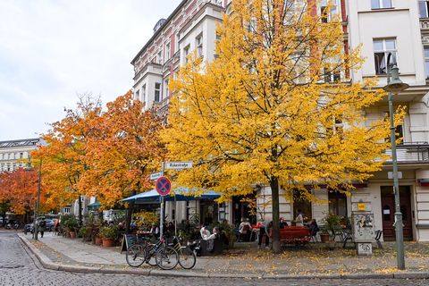 Vor allem der Samstag wird regnerisch in Berlin und Brandenburg. (Symbolbild) Foto: Jens Kalaene/dpa-Zentralbild/dpa