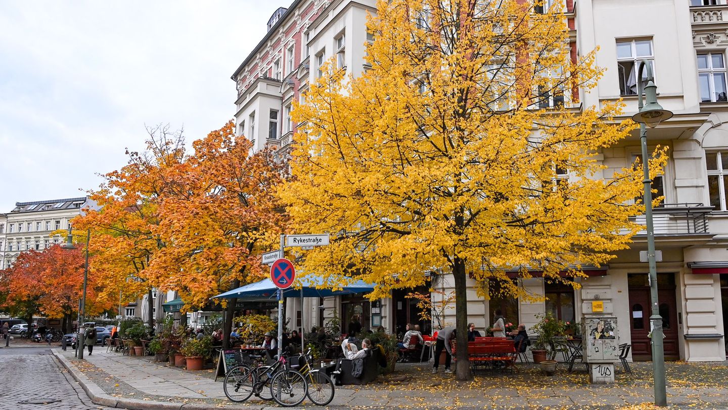 Vor allem der Samstag wird regnerisch in Berlin und Brandenburg. (Symbolbild) Foto: Jens Kalaene/dpa-Zentralbild/dpa