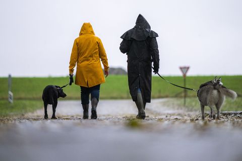 Das Sozialgericht Oldenburg hat entschieden, dass das Ausrutschen einer ehrenamtlichen Gassi-Geherin im Auftrag eines Tierheims