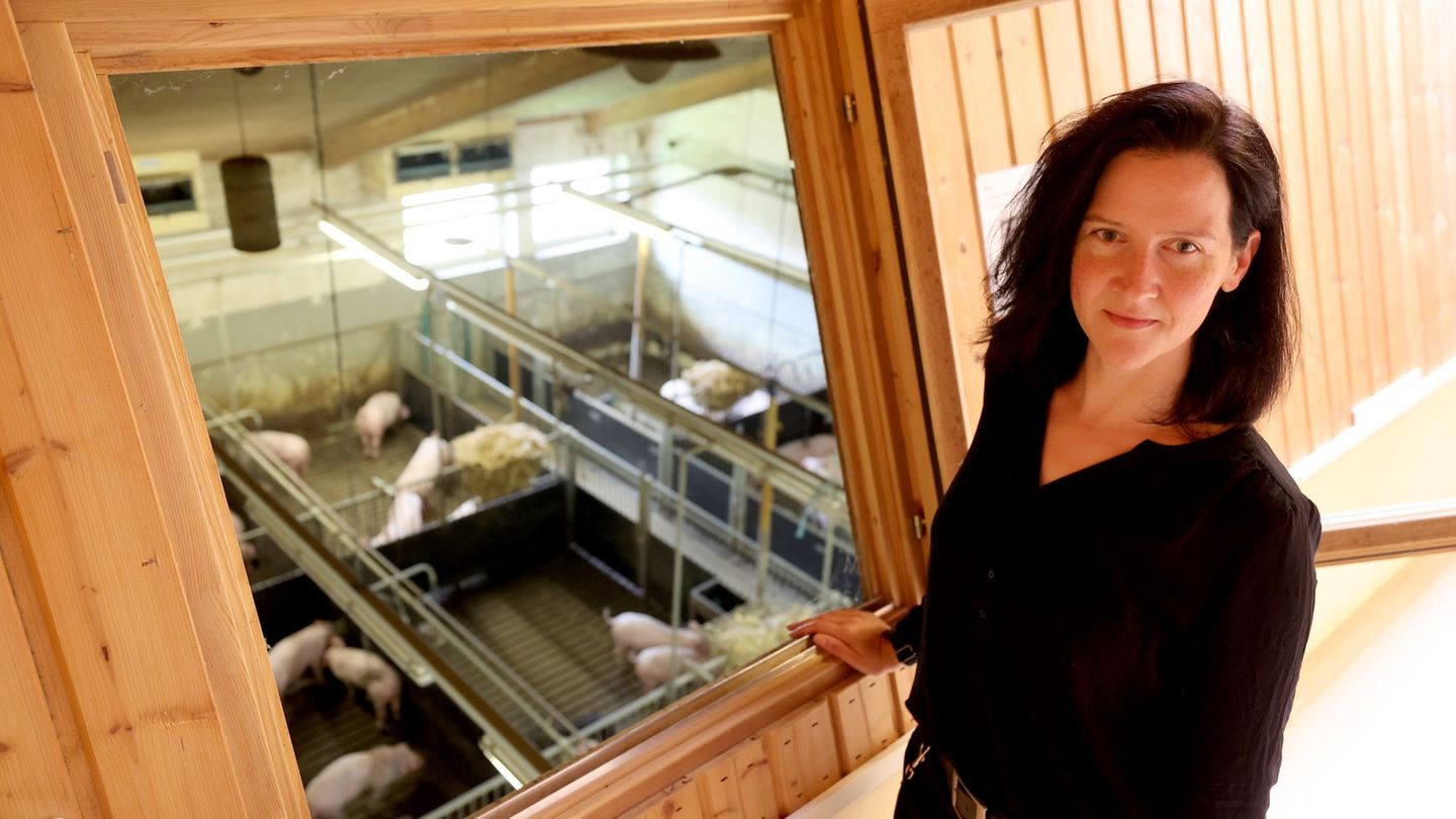 Ihre Diplomarbeit befasste sich noch mit den Lauten von Wildmeerschweinchen. Danach wechselte Biologin Sandra Düpjan zu Schweine