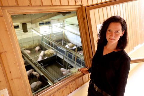 Ihre Diplomarbeit befasste sich noch mit den Lauten von Wildmeerschweinchen. Danach wechselte Biologin Sandra Düpjan zu Schweine