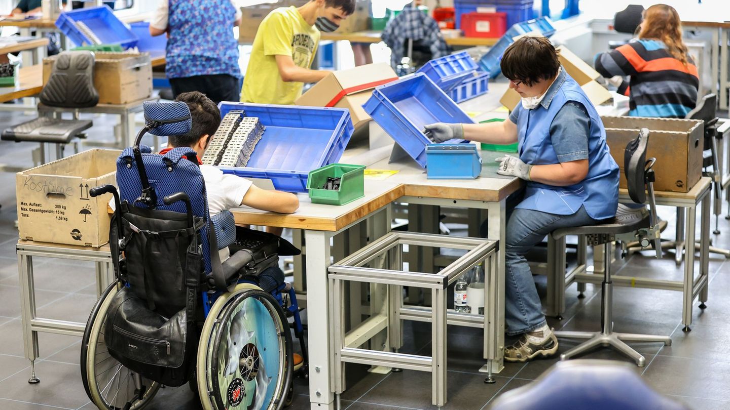 Werkstätten für Menschen mit Behinderungen haben verschiedene Funktionen. (Symbolbild) Foto: Jan Woitas/dpa-Zentralbild/dpa