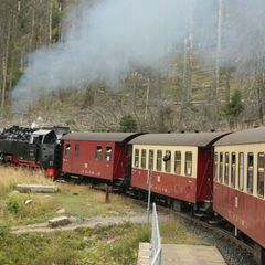 Die Harzer Schmalspurbahn prüft, ob sie am Vormittag zum Brocken fährt. (Archivbild) Foto: Matthias Bein/dpa-Zentralbild/dpa
