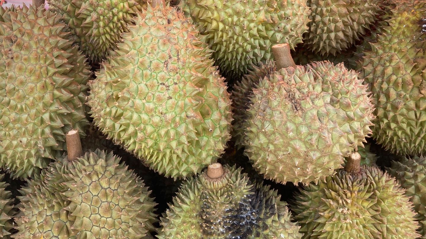 Der Geruch der Durian-Früchte erinnert nicht selten an Gas. (Symbolbild) Foto: Carola Frentzen/dpa