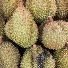 Der Geruch der Durian-Früchte erinnert nicht selten an Gas. (Symbolbild) Foto: Carola Frentzen/dpa