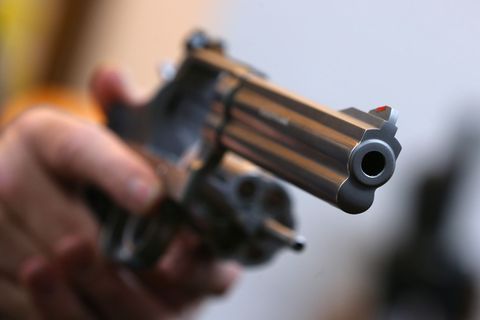 Statt Pilzen fand eine Familie im Norden von Sachsen-Anhalt einen Revolver. (Symbolbild) Foto: Karl-Josef Hildenbrand/dpa