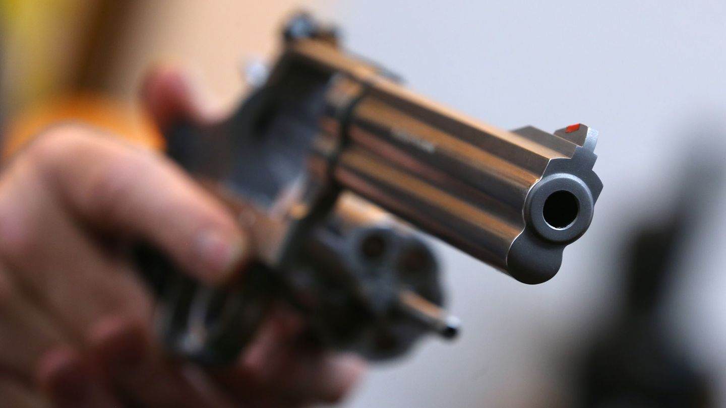 Statt Pilzen fand eine Familie im Norden von Sachsen-Anhalt einen Revolver. (Symbolbild) Foto: Karl-Josef Hildenbrand/dpa