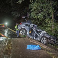 Beim vierten Baum soll das Auto zum Stehen gekommen sein. Foto: Sebastian Peters/NEWS5/dpa
