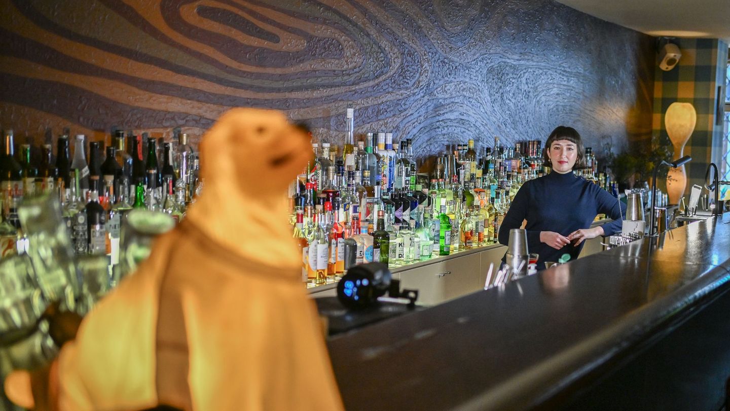 Die Bar "Green Door" mit langem Holztresen beschreibt sich selbst als American Bar und befindet sich in Berlin in der Winterfeld
