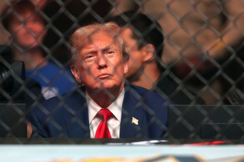 Trump gilt als Fan der Kampfsport-Liga UFC und saß mehrfach selbst im Publikum. (Archivbild) Foto: Steve Marcus/Las Vegas Sun vi