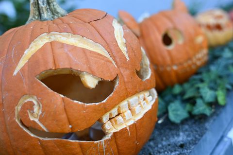 Die Halloween-Saison hat sich in den vergangenen Jahren zu einer der wichtigsten Zeiten im Taunus Wunderland entwickelt. (Archiv