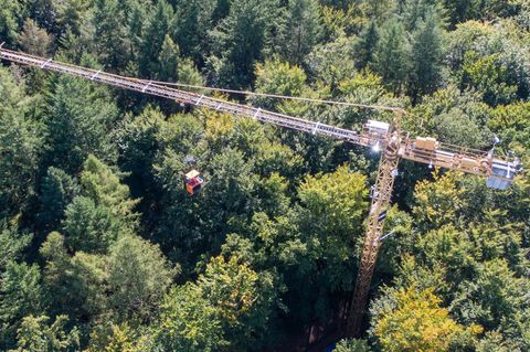 In einem Waldstück bei Demmin untersuchen Wissenschaftler und Wissenschaftlerinnen von Einrichtungen aus Mecklenburg-Vorpommern,