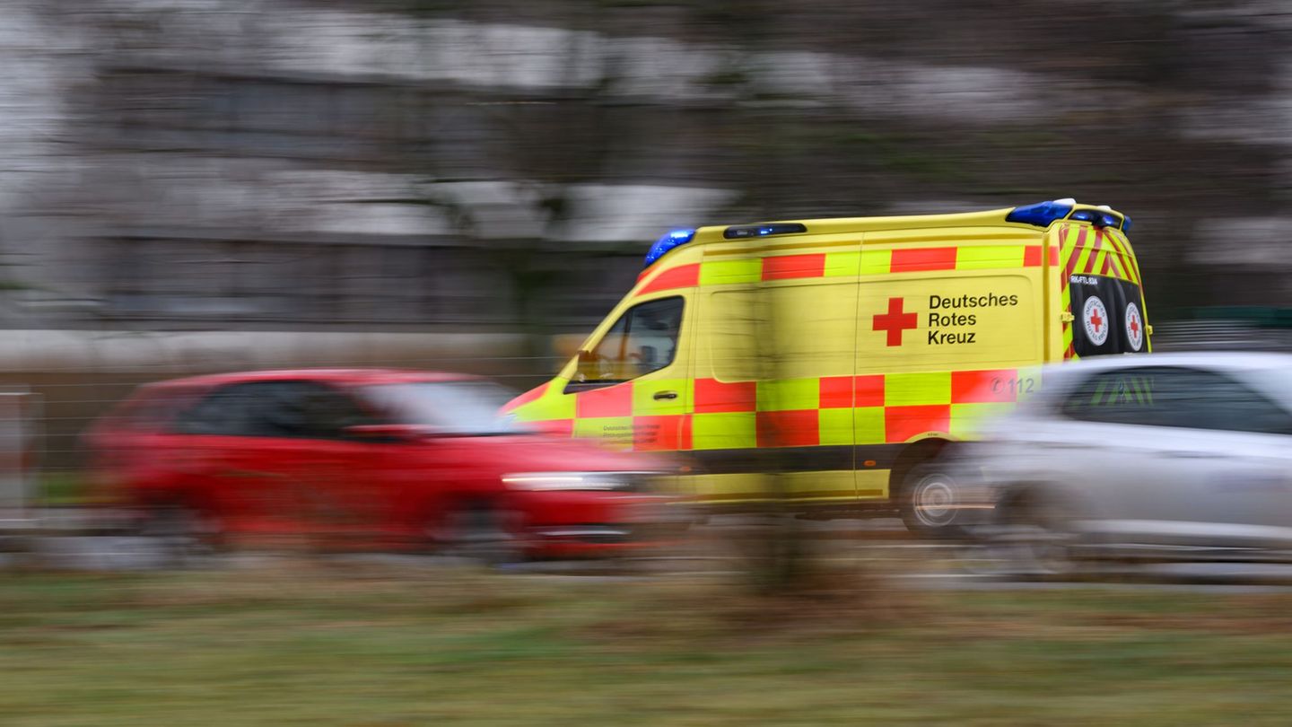 Rettungskräfte bringen alle Verletzten in eine Klinik. (Symbolbild) Foto: Robert Michael/dpa