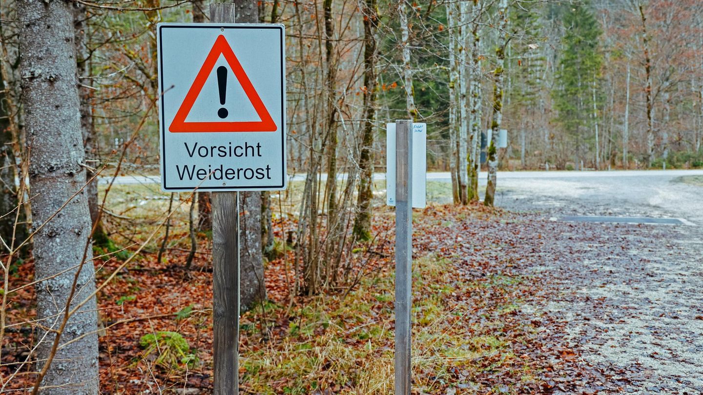 Der Fall mit einem toten Säugling in Bayern (Foto vom Tatort) ist am Mittwoch Thema in der ZDF-Sendung "Aktenzeichen XY"