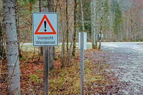 Der Fall mit einem toten Säugling in Bayern (Foto vom Tatort) ist am Mittwoch Thema in der ZDF-Sendung "Aktenzeichen XY"