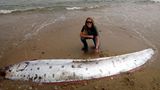 Tiefsee Riemenfisch am Strand liegend