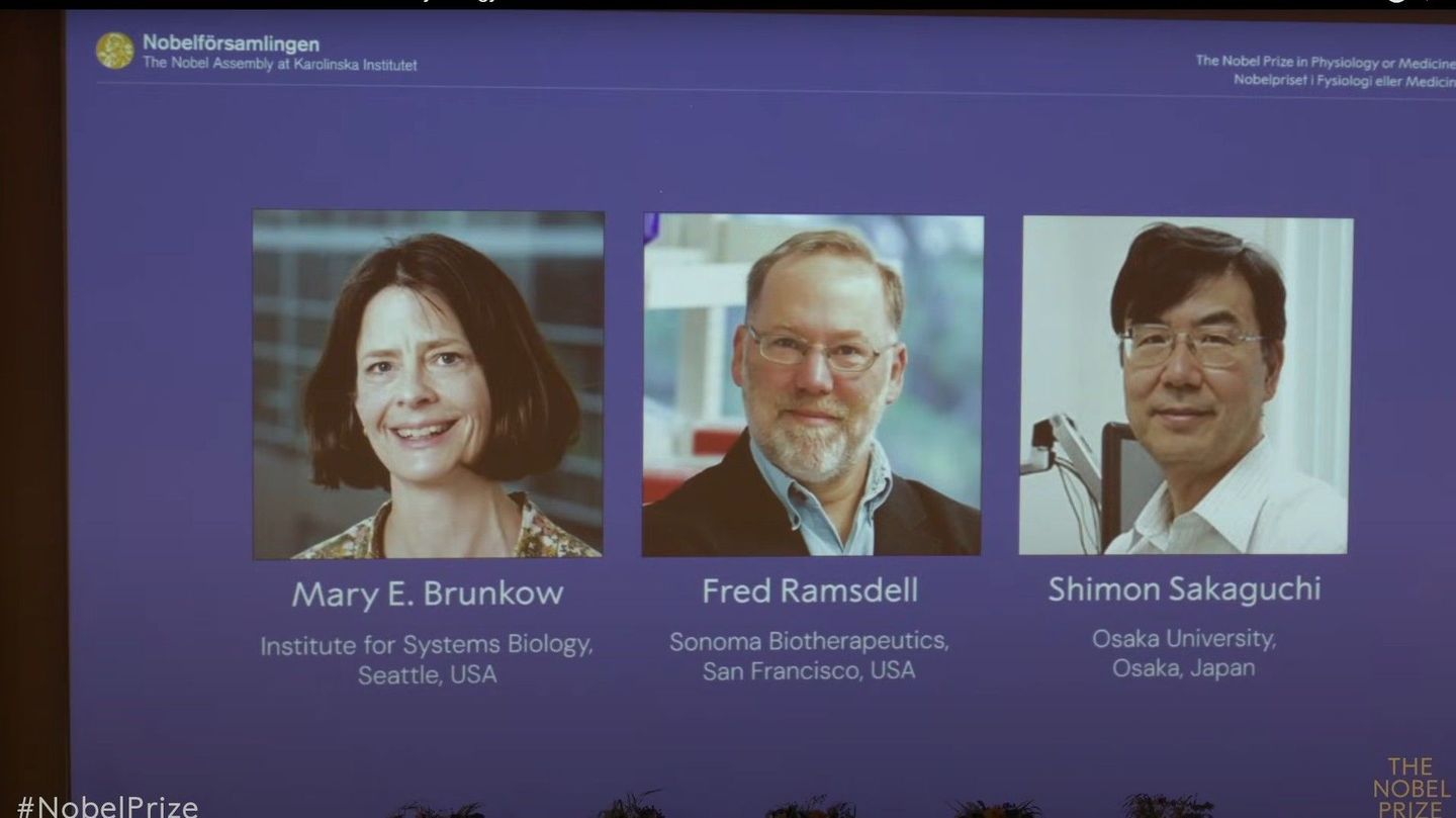 Mary Brunkow (l.), Fred Ramsdell (M., beide USA) und Shimon Sakaguchi (Japan)