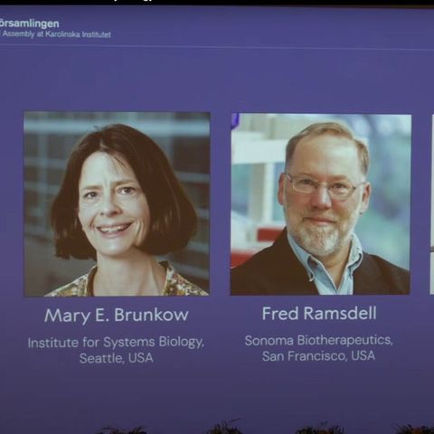 Mary Brunkow (l.), Fred Ramsdell (M., beide USA) und Shimon Sakaguchi (Japan)