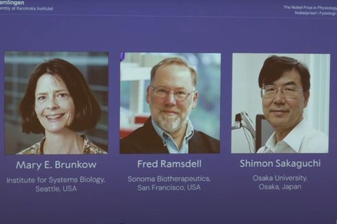 Mary Brunkow (l.), Fred Ramsdell (M., beide USA) und Shimon Sakaguchi (Japan)