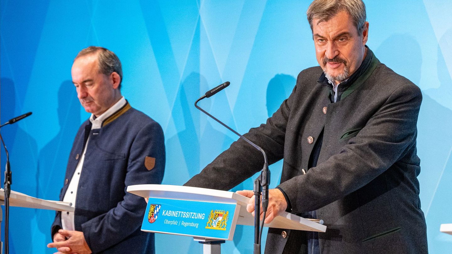 Bayern will seine führende Rolle bei der Entwicklung von Chips ausbauen. (Archivbild) Foto: Armin Weigel/dpa