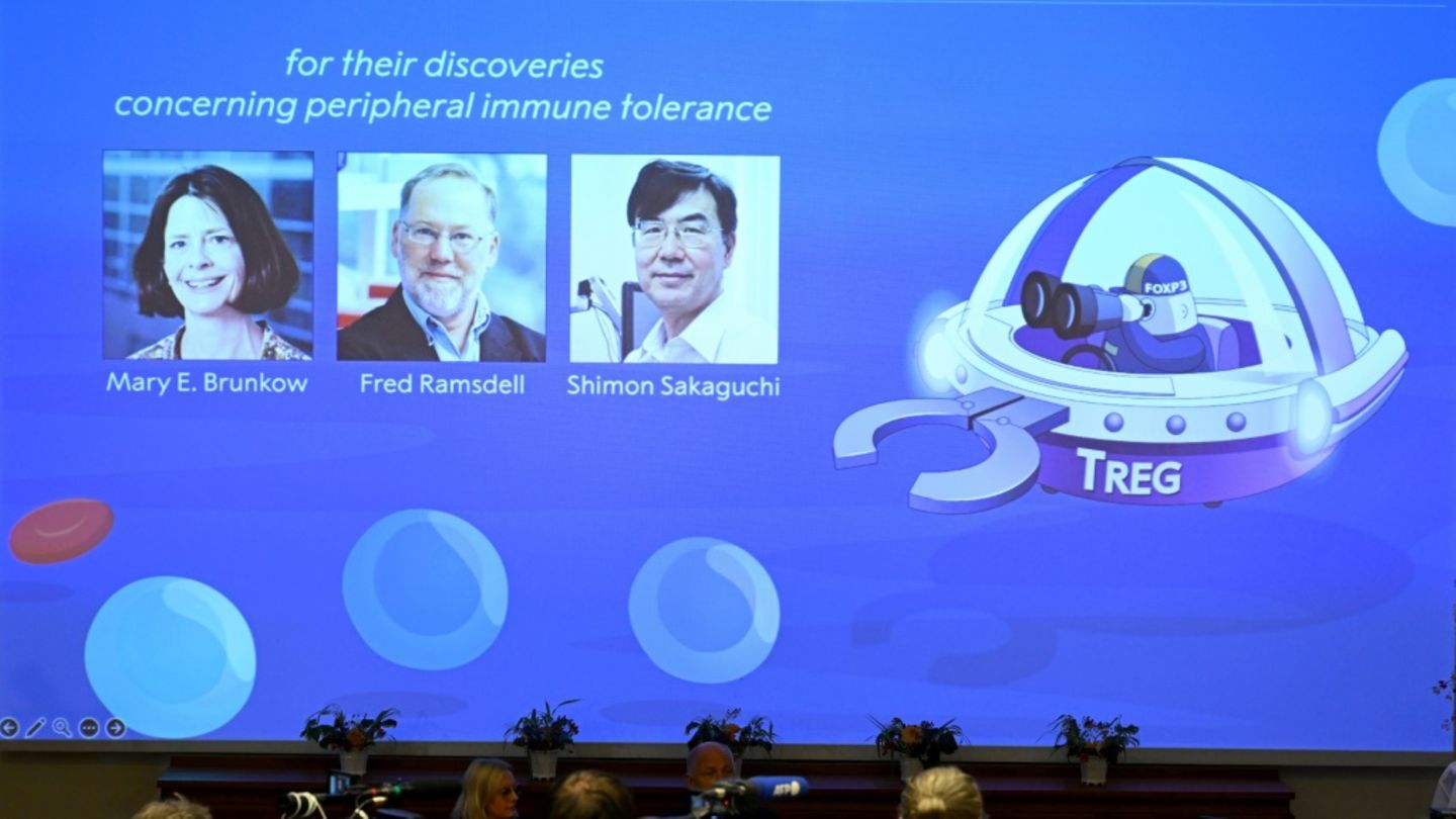 Die drei Preisträger des diesjährigen Medizin-Nobelpreises