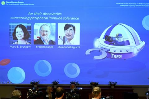 Die drei Preisträger des diesjährigen Medizin-Nobelpreises