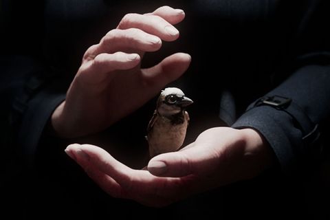 Der Kurzfilm "A Sparrow's Song" gehörte zu den großen Gewinnern der Preisverleihung.