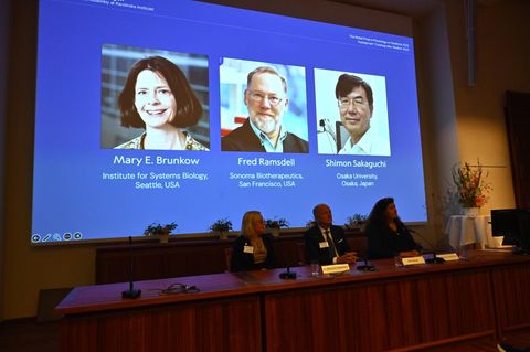 Verkündung des Nobelpreises für Medizin in Stockholm
