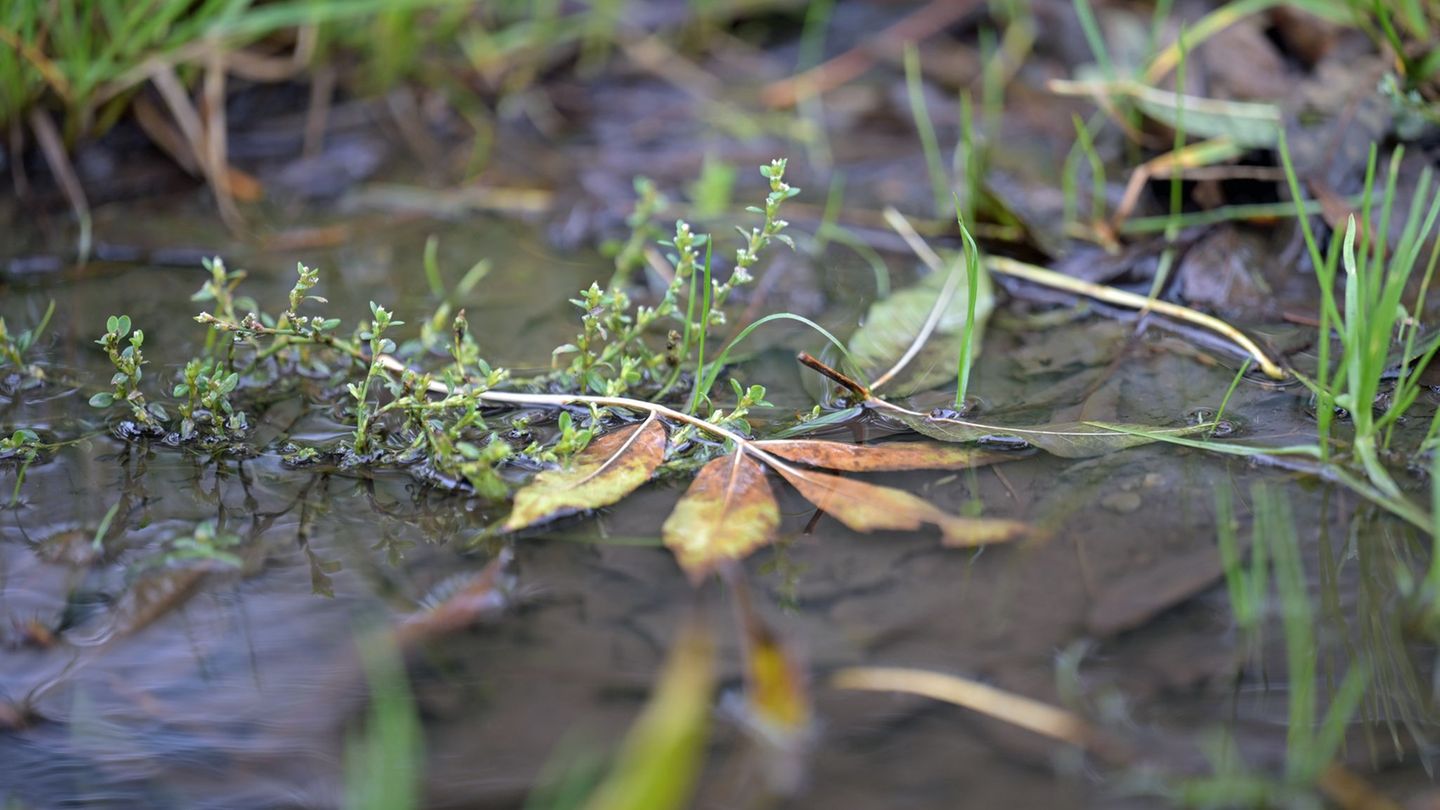 Regenschirm nicht vergessen: In einigen Regionen Bayerns kann es noch nass werden. Foto: Malin Wunderlich/dpa