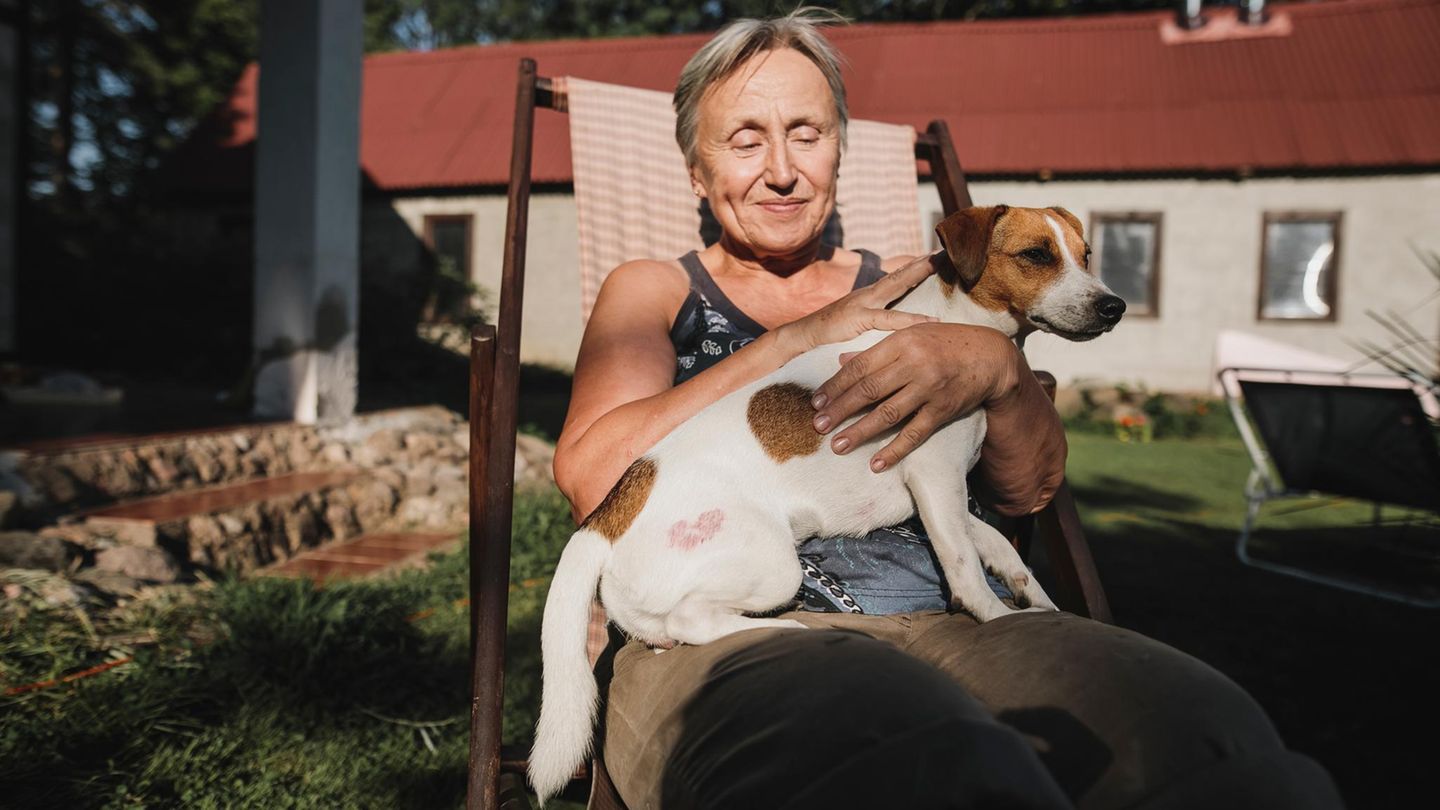 Hundequiz: Welcher Hund passt zu mir?