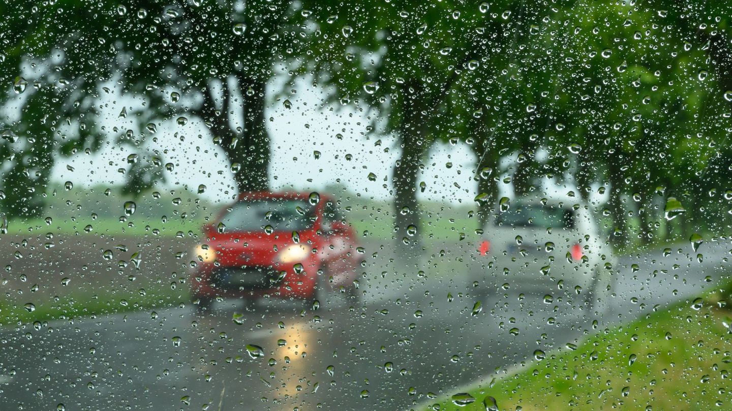 Höchsttemperaturen bis zu 17 Grad kündigt der Deutsche Wetterdienst (DWD) in den nächsten Tagen für Berlin und Brandenburg an. (