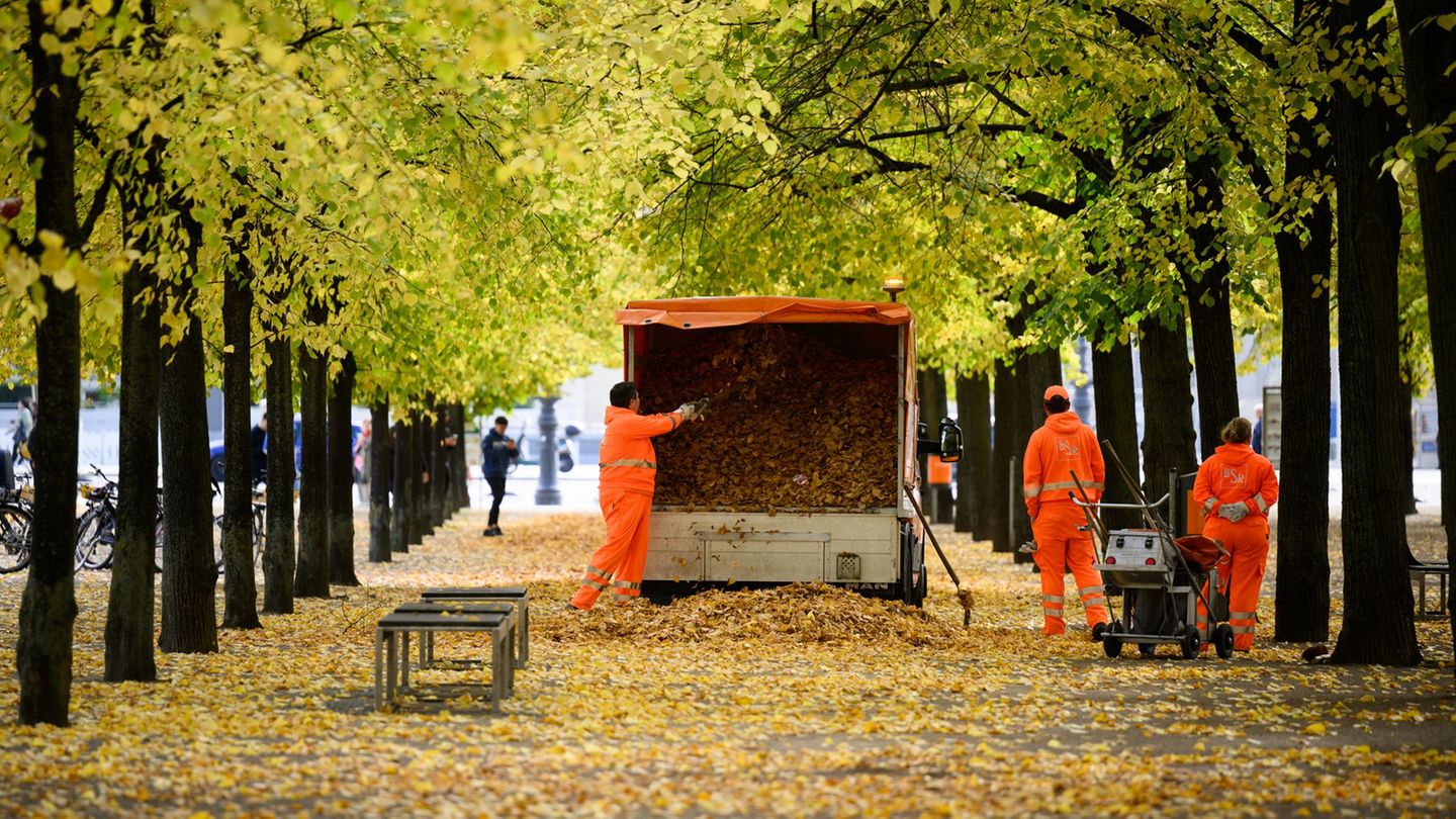 Die BSR sammelt wieder das Laub von den Wegen in Berlin. Foto: Bernd von Jutrczenka/dpa