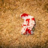 Blutiges Taschentuch am Heuboden der Boxbude