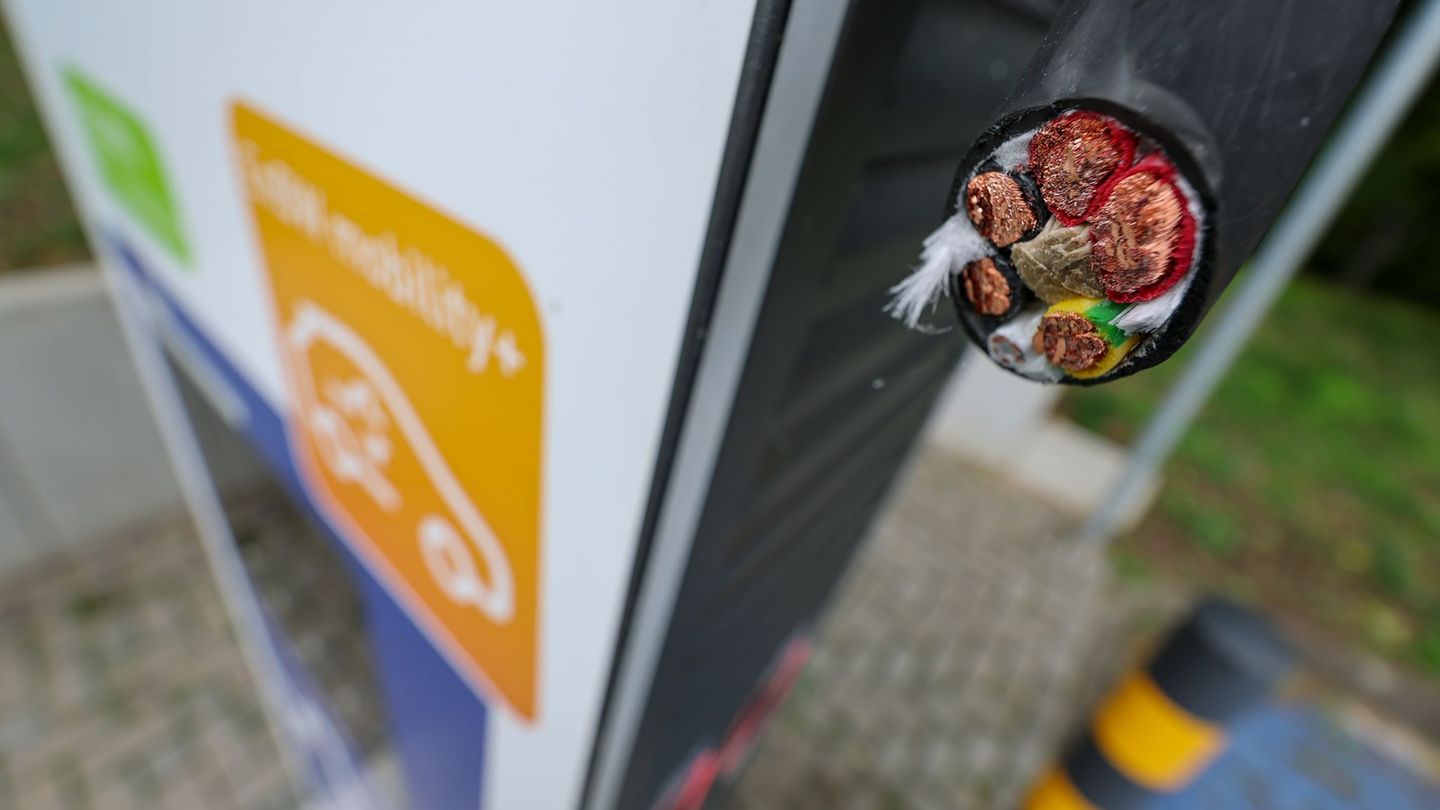 In Stralsund sind mehr als ein Dutzend Ladekabel von Ladesäulen für E-Autos gewaltsam entfernt worden. (Symbolbild) Foto: Jan Wo
