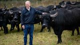 Werder, Deutschland. Der ehemalige Ampel-Kanzler zeigt sich im Casual Outfit mit Wasserbüffeln in der Wildnis Brandenburgs. Olaf Scholz wirkt entspannt bei seinem Besuch einer Kooperative für Agrarnaturschutz. Aber die Büffelherde scheint auch friedlicher und entspannter zu sein, als es seine Koalition war
