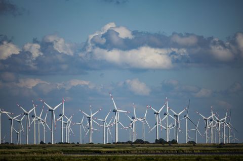 Es gibt Kritik an den Klimaschutzzielen der Landesregierung. (Symbolbild) Foto: Christian Charisius/dpa