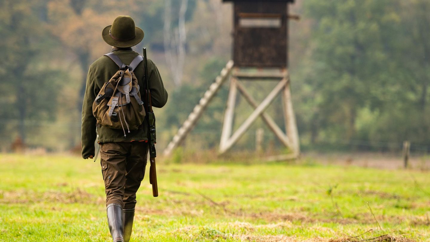 Die Vorgaben für die Jagd in Niedersachsen sollen in vielen Bereichen verändert werden. (Archivbild) Foto: Philipp Schulze/dpa