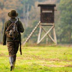 Die Vorgaben für die Jagd in Niedersachsen sollen in vielen Bereichen verändert werden. (Archivbild) Foto: Philipp Schulze/dpa