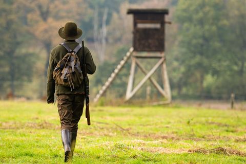 Die Vorgaben für die Jagd in Niedersachsen sollen in vielen Bereichen verändert werden. (Archivbild) Foto: Philipp Schulze/dpa