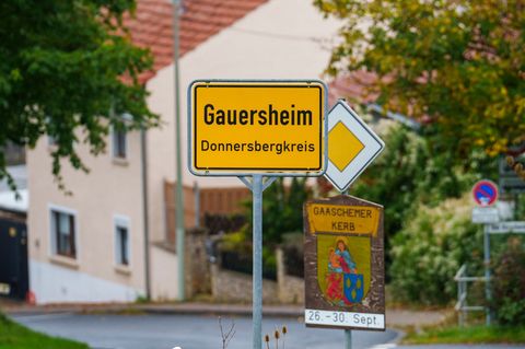 Die Polizei leitete mehrere Ermittlungsverfahren wegen Beleidigung und Bedrohung nach den Vorkommnissen in Gauersheim ein. Foto: