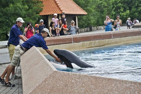 Der inzwischen geschlossene Freizeitpark in Kanada warnt, er müsse womöglich seine Tiere einschläfern. (Archivbild) Foto: Randy