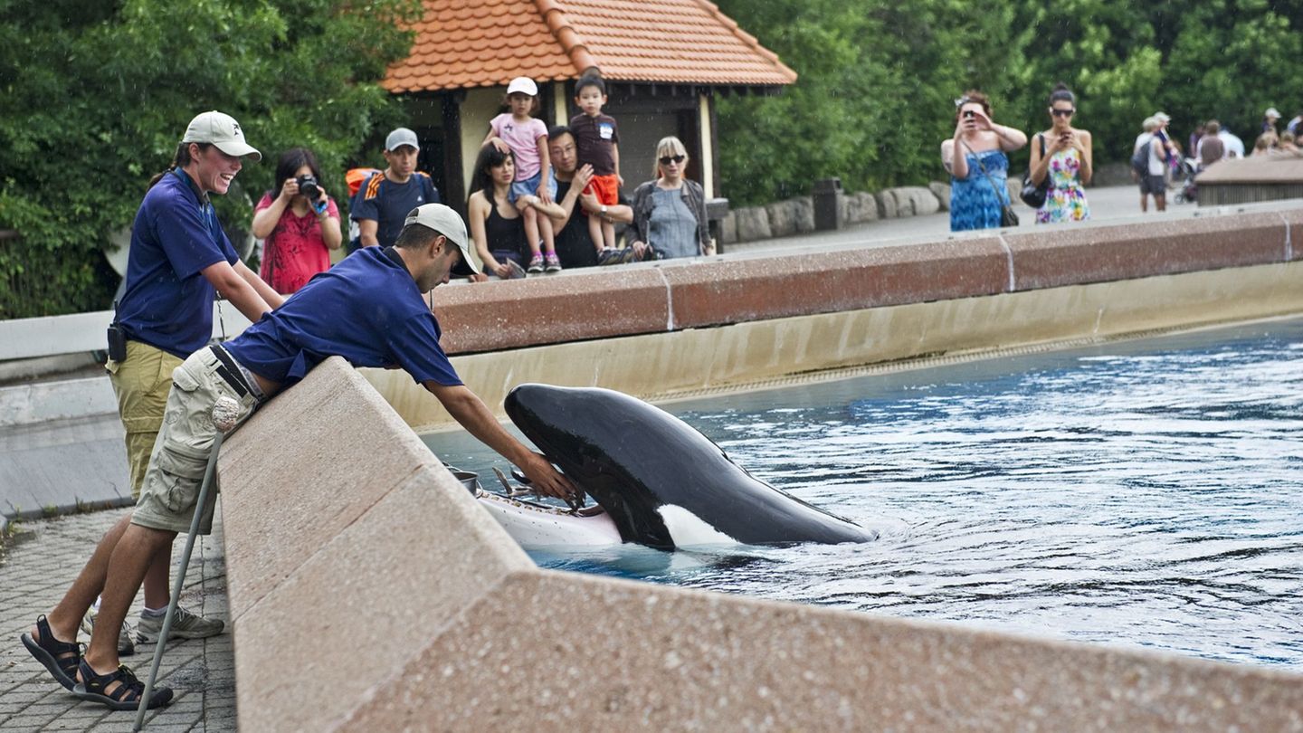 Der inzwischen geschlossene Freizeitpark in Kanada warnt, er müsse womöglich seine Tiere einschläfern. (Archivbild) Foto: Randy