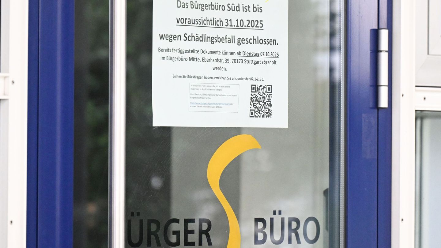 Ungeziefer-B-rgerb-ro-S-d-in-Stuttgart-wegen-M-usen-geschlossen