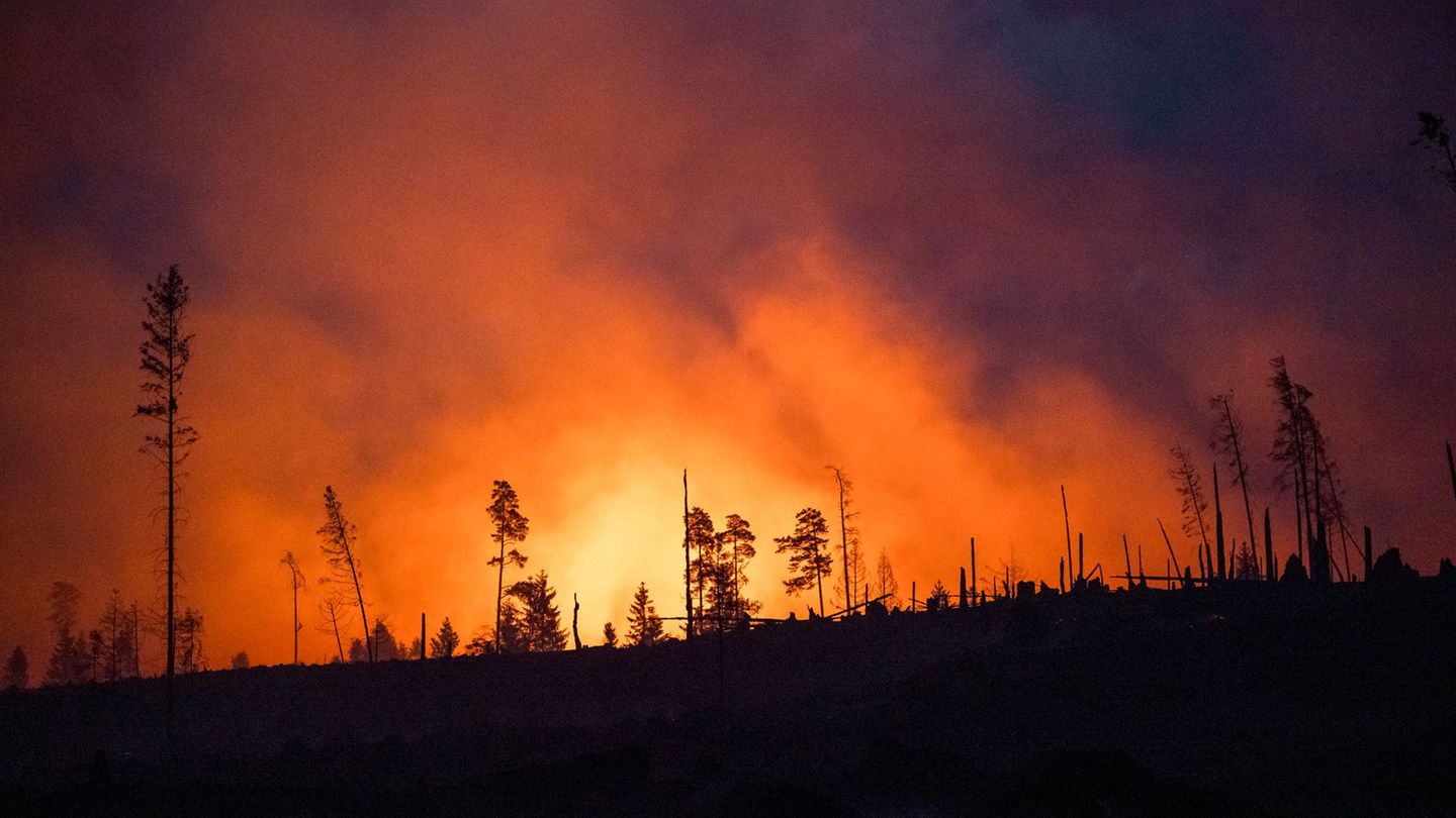 Wie lässt sich ein Waldbrand schon im Ansatz erkennen? Drohnen und Künstliche Intelligenz sollen dabei helfen. Ein entsprechende