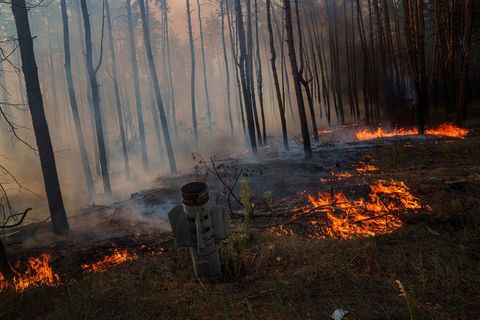 Waldbrände in der Ukraine, die viel Treibhausgase freisetzen, werden oft durch Gefechte ausgelöst. (Archivbild) Foto: Evgeniy Ma